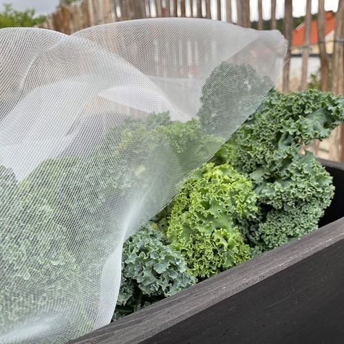 Kålnät 2.1 x 50 m PE 42gr