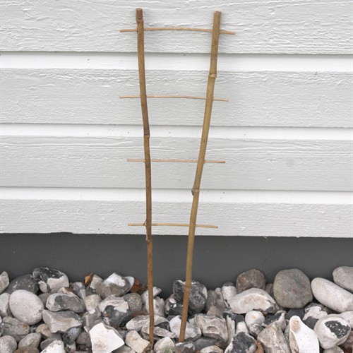 Bambuspaljé S2 35 cm