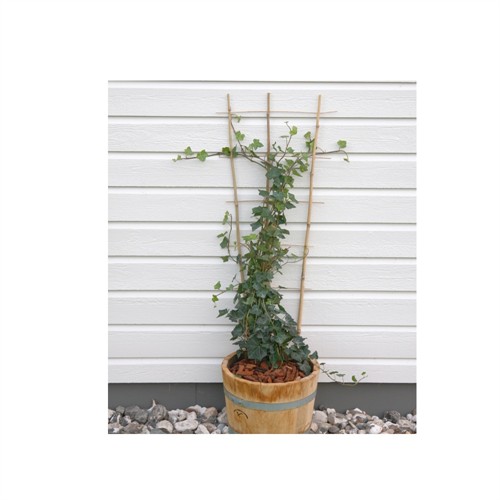 Bambuspaljé S3 85 cm