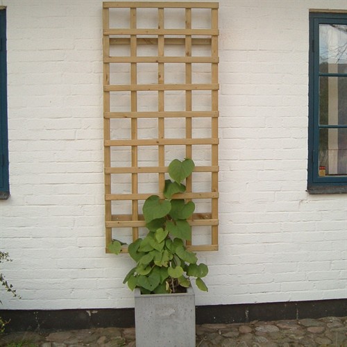 Spaljé Trä, rekt 80 x 180 cm