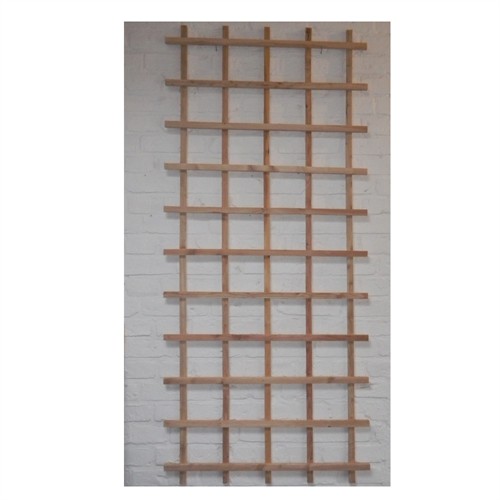 Spaljé Lärk, rekt 74 x 172 cm