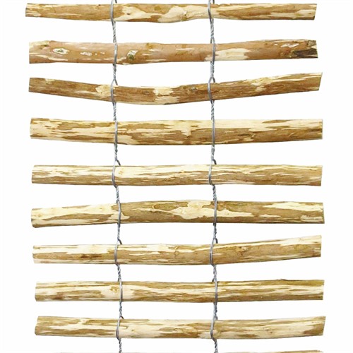 Spaljeé Hassel, 0.5 x 2.0 m